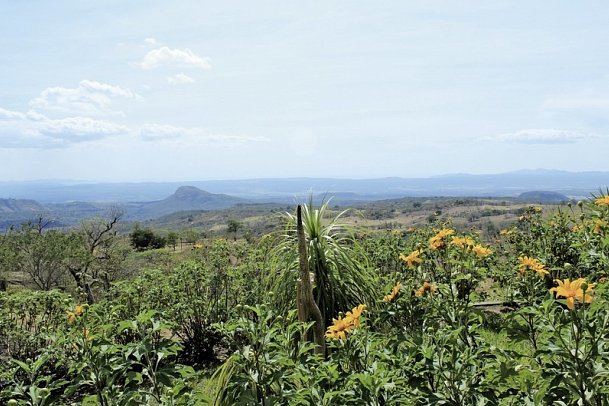 Nationalpark Rincón de le Vieja