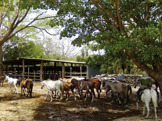Traumstrände im Land der Ticos