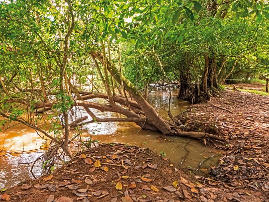 Costa Rica - auf die feine Art entdecken