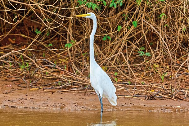 Costa Rica - auf die feine Art entdecken