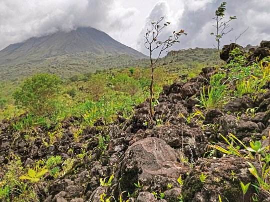 Costa Rica - auf die feine Art entdecken