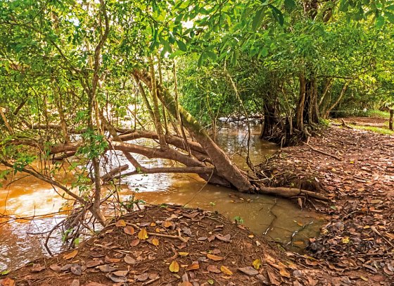 Costa Rica - auf die feine Art entdecken