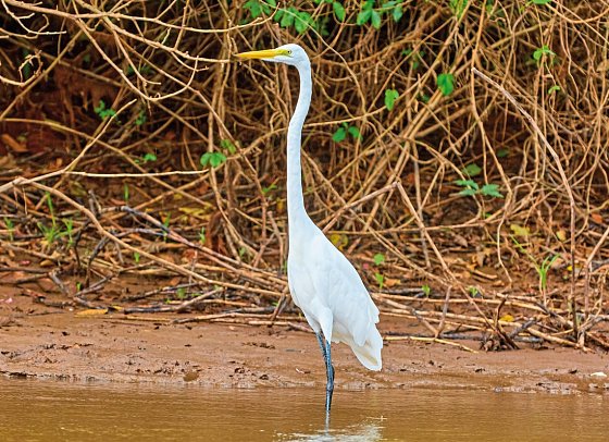 Costa Rica - auf die feine Art entdecken