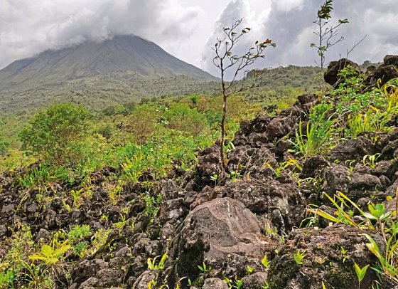 Costa Rica - auf die feine Art entdecken