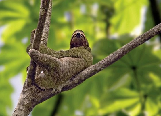 Farbenmeer Costa Rica