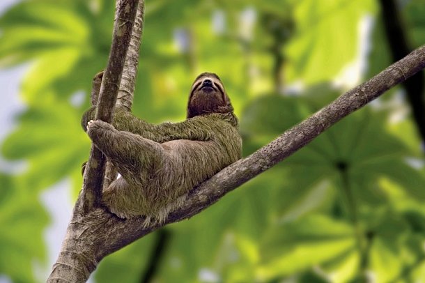 Farbenmeer Costa Rica