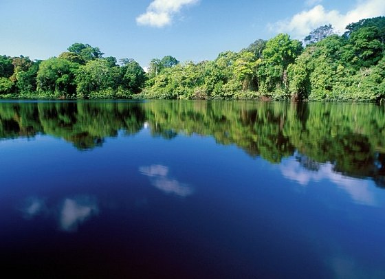 Farbenmeer Costa Rica - Tortuguero