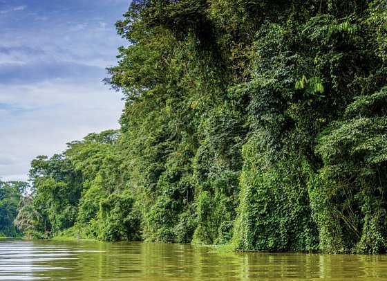 Costa Rica - Auf der Suche nach den Faultieren