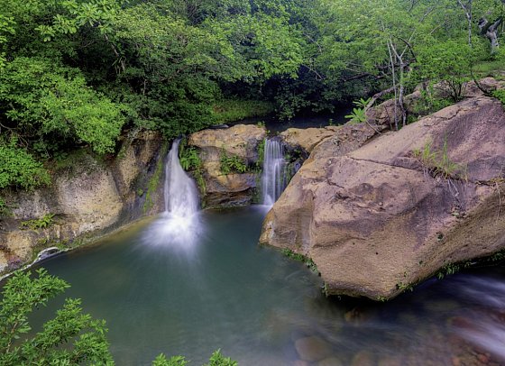 Costa Rica - Auf der Suche nach den Faultieren