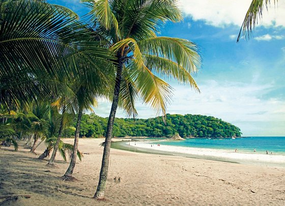 Costa Rica - Auf der Suche nach den Faultieren - Playa Carillo