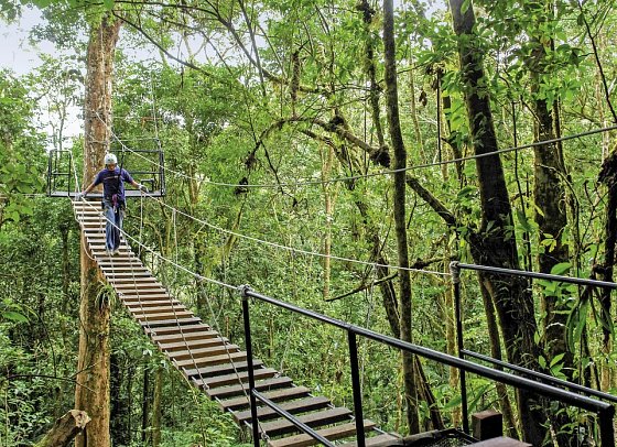 Costa Rica - Auf der Suche nach den Faultieren - Hängebrücke in Monteverde