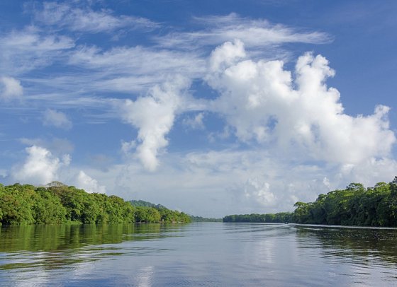 Costa Rica - Auf der Suche nach den Faultieren - Tortuguero Nationalpark