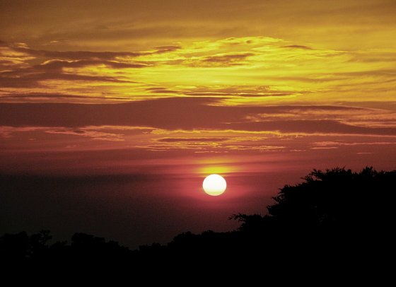 Costa Rica - Auf der Suche nach den Faultieren