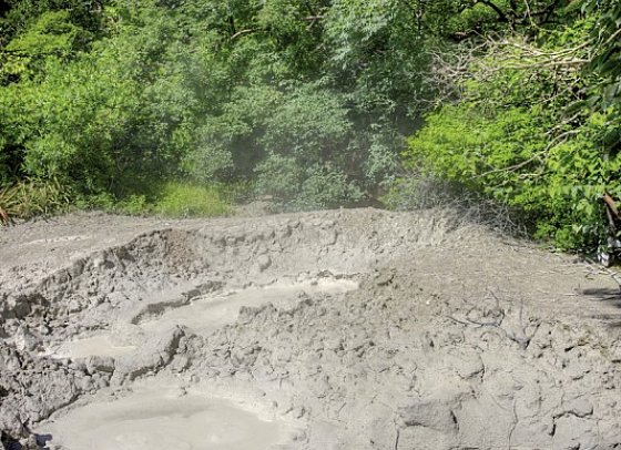 Costa Rica - Auf der Suche nach den Faultieren
