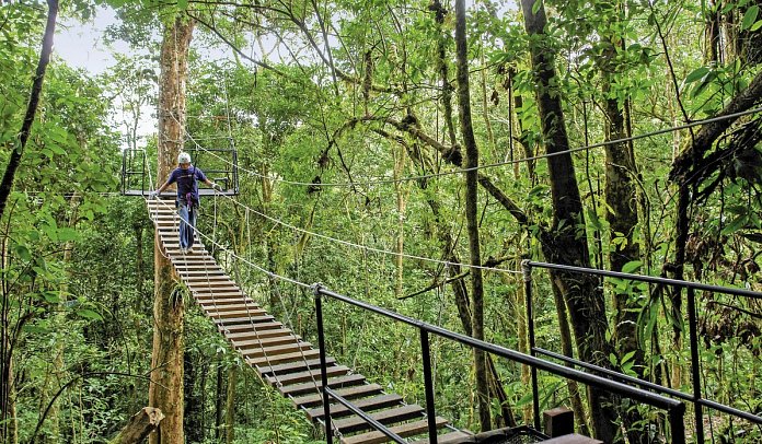 Costa Rica - Auf der Suche nach den Faultieren - Hängebrücke in Monteverde