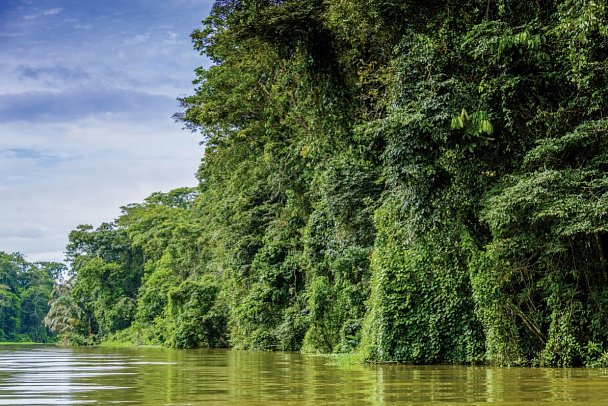 Costa Rica - Auf der Suche nach den Faultieren