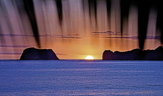 Costa Rica - Auf der Suche nach den Faultieren