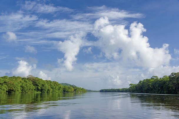 Costa Rica - Auf der Suche nach den Faultieren - Tortuguero Nationalpark