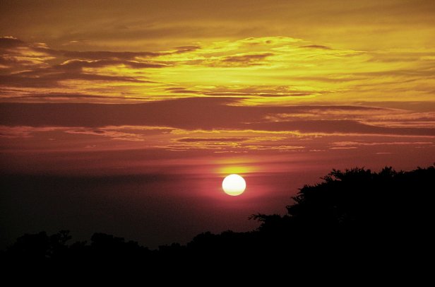 Costa Rica - Auf der Suche nach den Faultieren