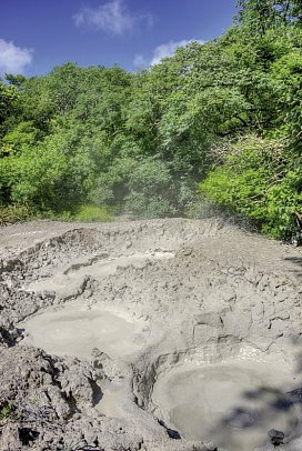 Costa Rica - Auf der Suche nach den Faultieren