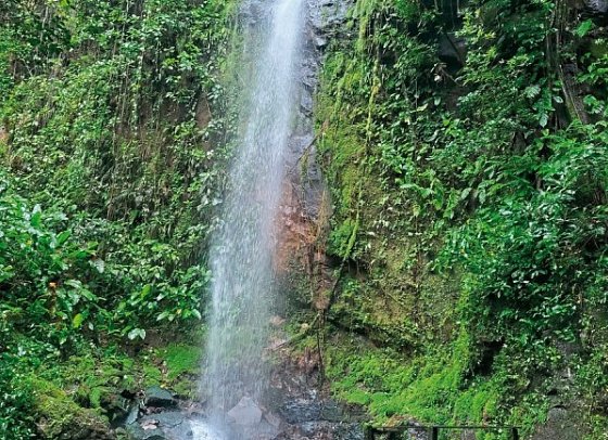 Costa Rica - Nicaragua: koloniale Schätze & üppige Natur - Wasserfall, Rincón de la Vieja