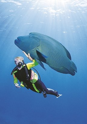 Australien zum Kennenlernen (ab Sydney/bis Perth)