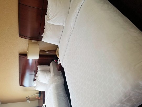 Clarion Clearwater - Wohnbeispiel Standard 2 beds