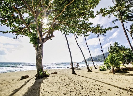 New Star Beach Resort