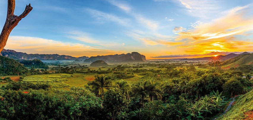 Cocktail Cubano - Viñales-Tal