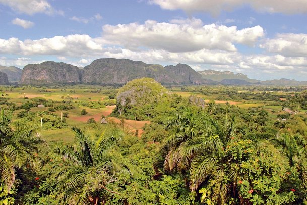 Cocktail Cubano - Viñales-Tal