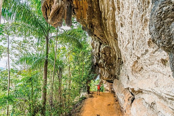 Große Kuba Rundreise - Nationalpark Topes de Collantes