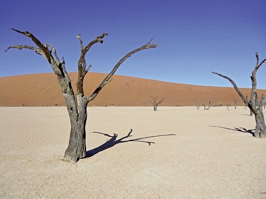Namibia Classic für Selbstfahrer - Dead Vlei