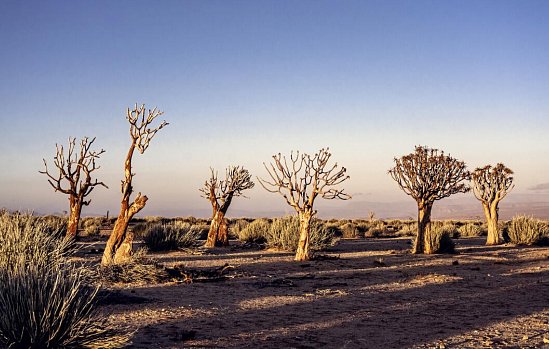 Traumreise Namibia