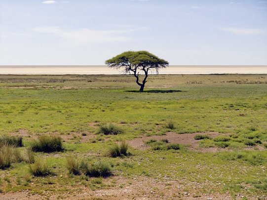 Traumreise Namibia