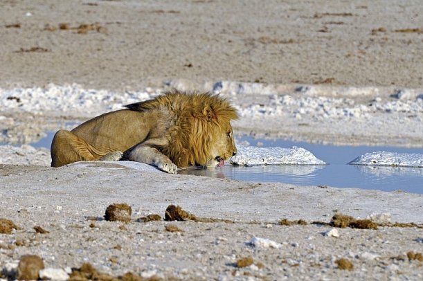Traumreise Namibia