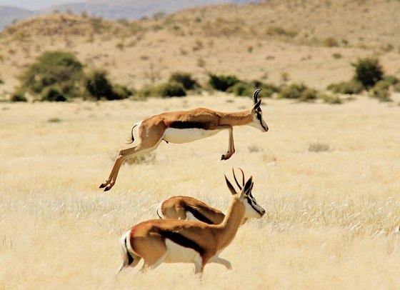 Traumreise Namibia