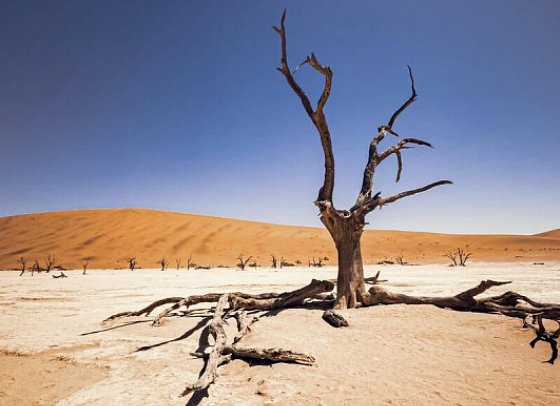 Namibia - Roter Sand, weiter Horizont - Dead Vlei