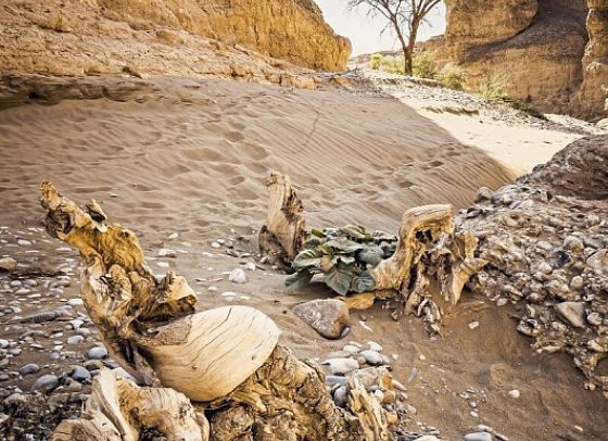 Namibia - Roter Sand, weiter Horizont - Sesriem Canyon
