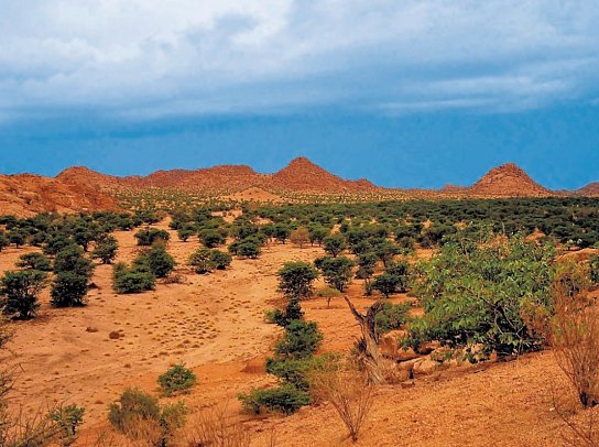 Best of Namibia Standard