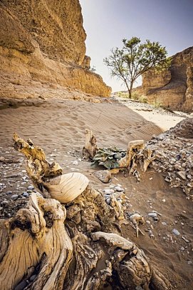 Best of Namibia Standard - Sesriem Canyon