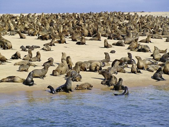 Best of Namibia Superior