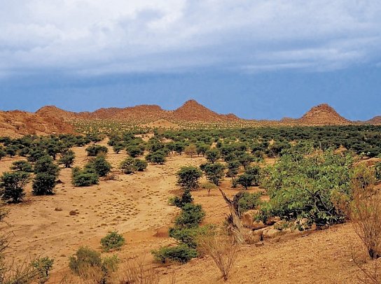 Best of Namibia Superior