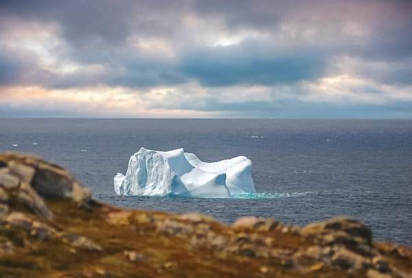 Naturwunder Nordatlantik - Wo Eisberge Geschichten erzählen - Eisberg vor Küste