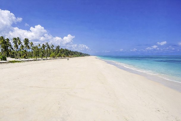 Kappa Senses Zanzibar