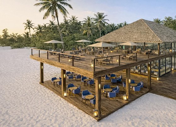 Kappa Senses Zanzibar