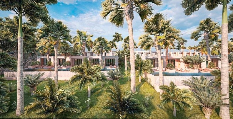 ananea Baron Zanzibar