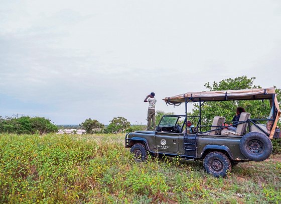 Saadani Safari (2 Nächte)