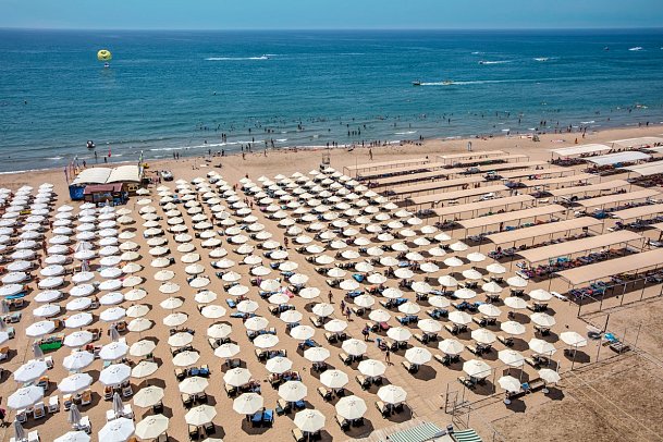 Trendy Verbena Beach