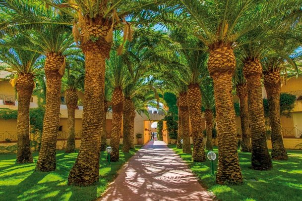 Mangia’s Brucoli, Sicily, Autograph Collection