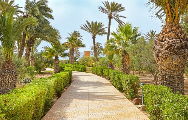 Djerba Castille